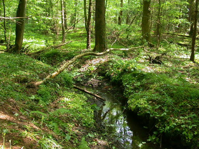 Uscita domenicale...